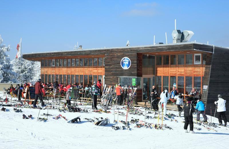 Forsthaus Apartments - Ski + Bike & Hike Klaffer am Hochficht Exteriör bild