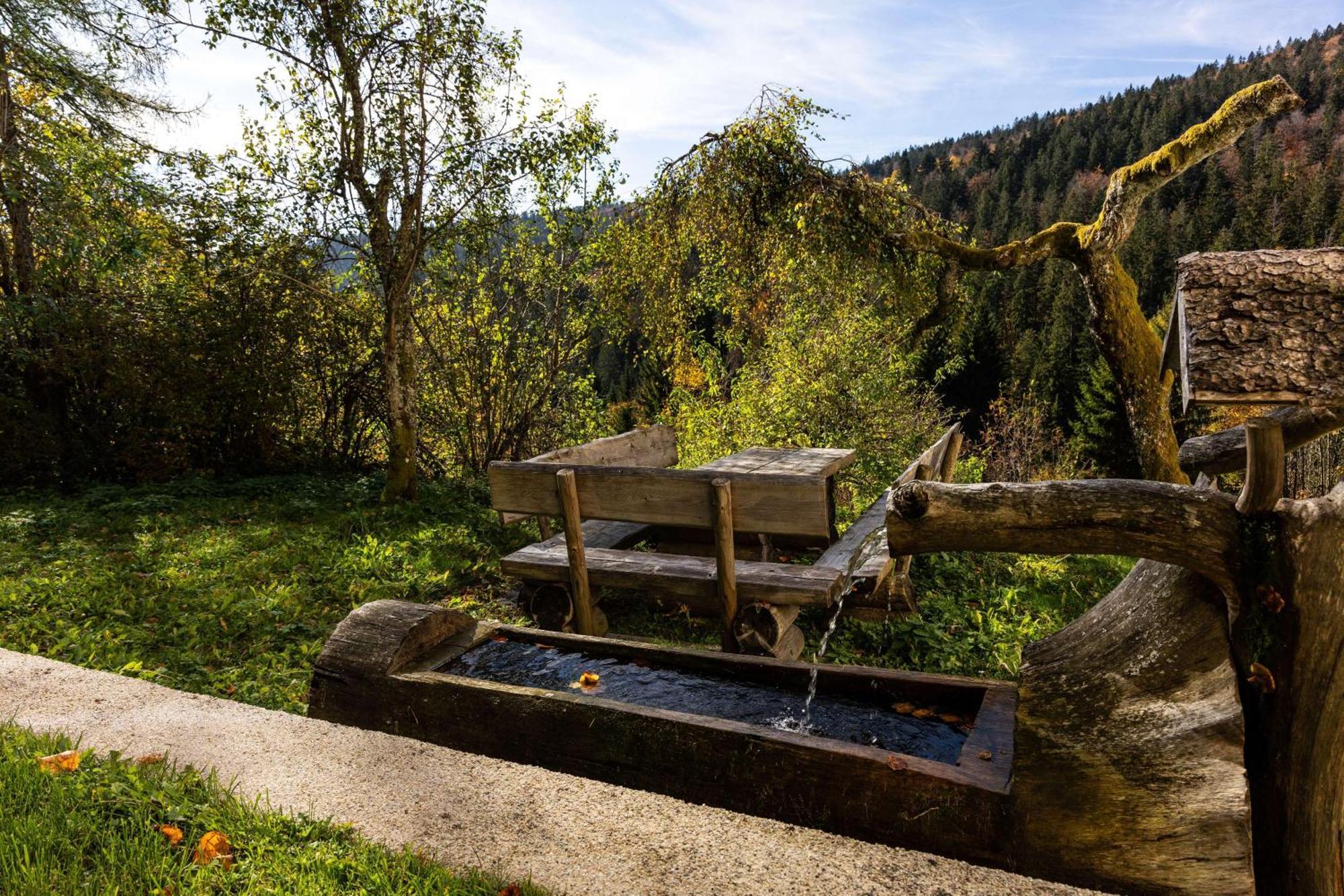Forsthaus Apartments - Ski + Bike & Hike Klaffer am Hochficht Exteriör bild